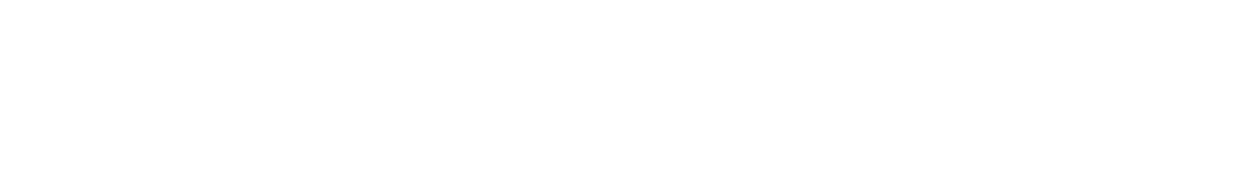 Ecospeed