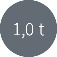 1,0 t