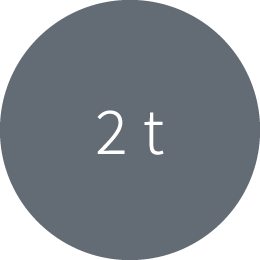 2 t