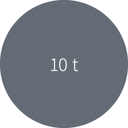 10 t