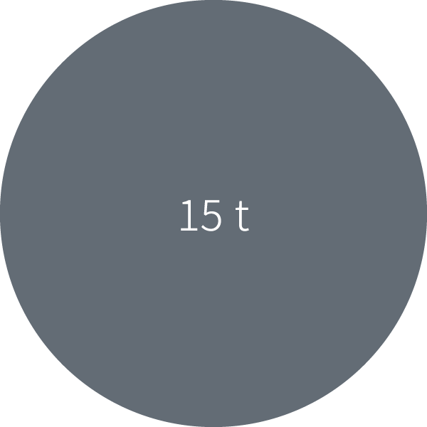 15 t