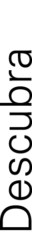 Descubra