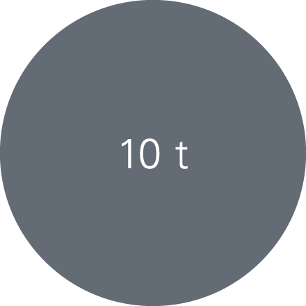 10 t