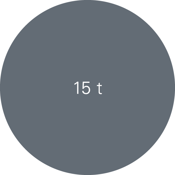 15 t
