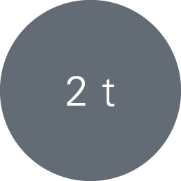 2 t