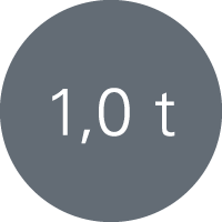 1,0 t