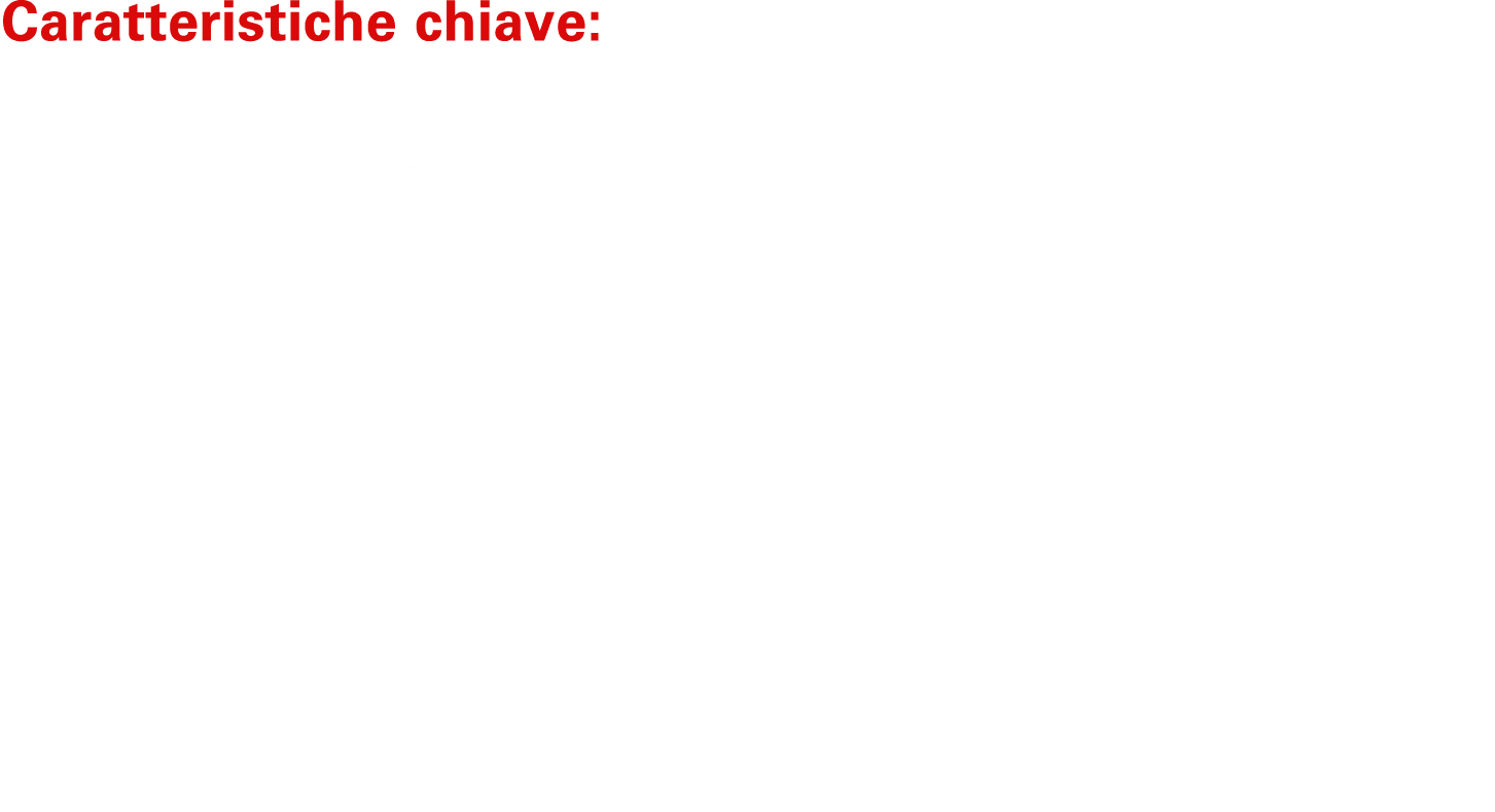 Caratteristiche chiave:  Mandrino compatto e resistente alla flessione con elevata rigidit torsionale, modificabile...