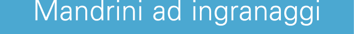 Mandrini ad ingranaggi 