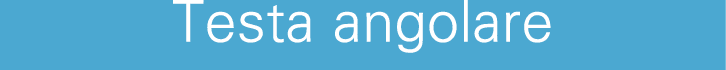 Testa angolare