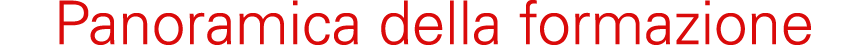 Panoramica della formazione