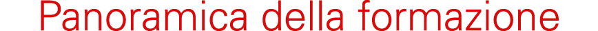 Panoramica della formazione