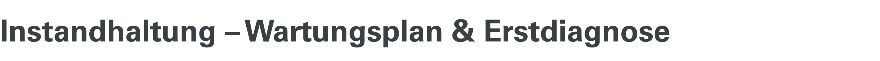 Instandhaltung – Wartungsplan & Erstdiagnose
