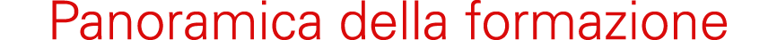 Panoramica della formazione